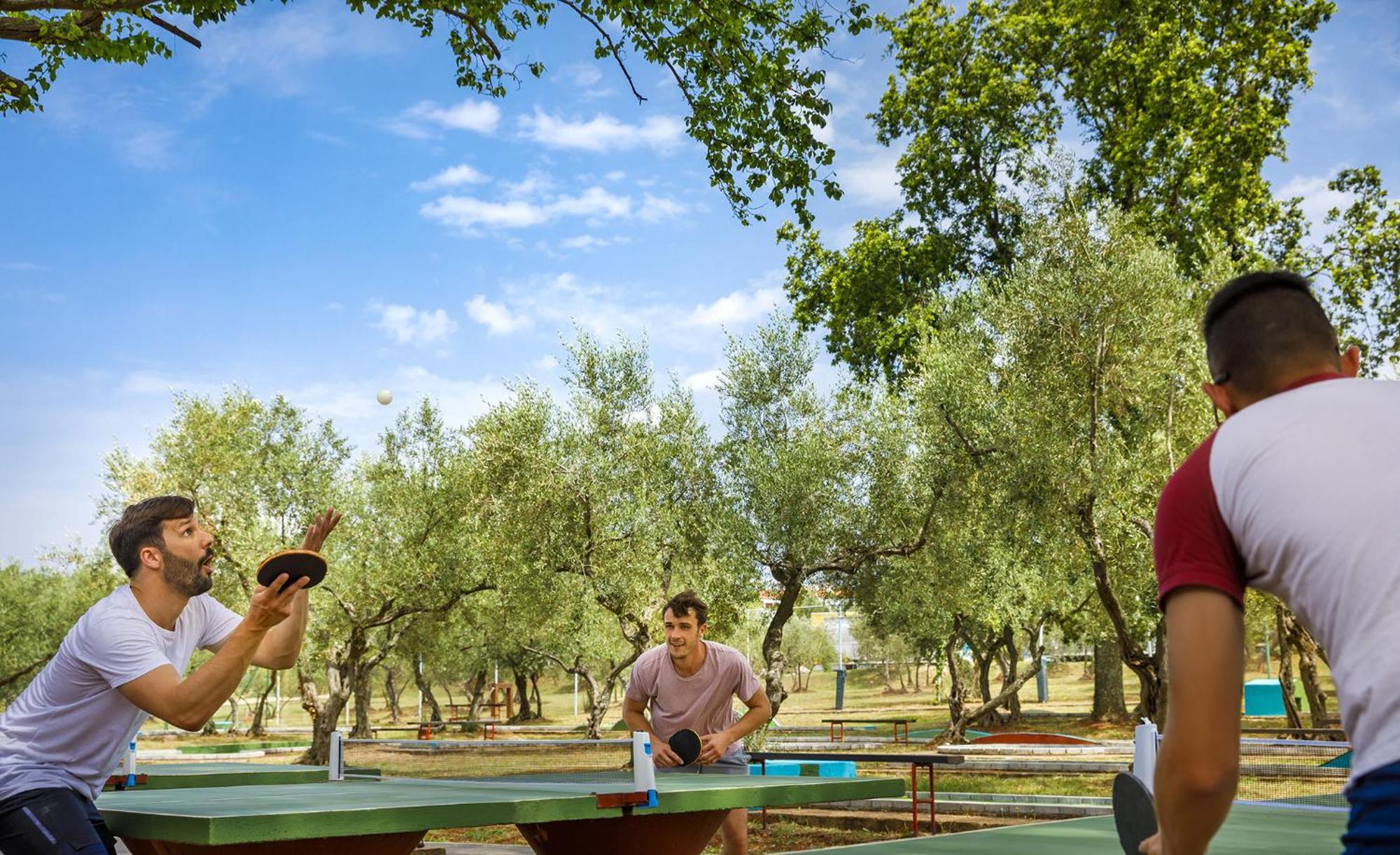 Aminess Planet Camping Maravea Resort - Pitches Novigrad Istria Eksteriør billede