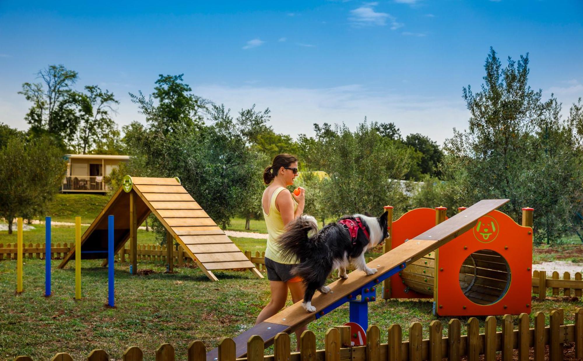 Aminess Planet Camping Maravea Resort - Pitches Novigrad Istria Eksteriør billede